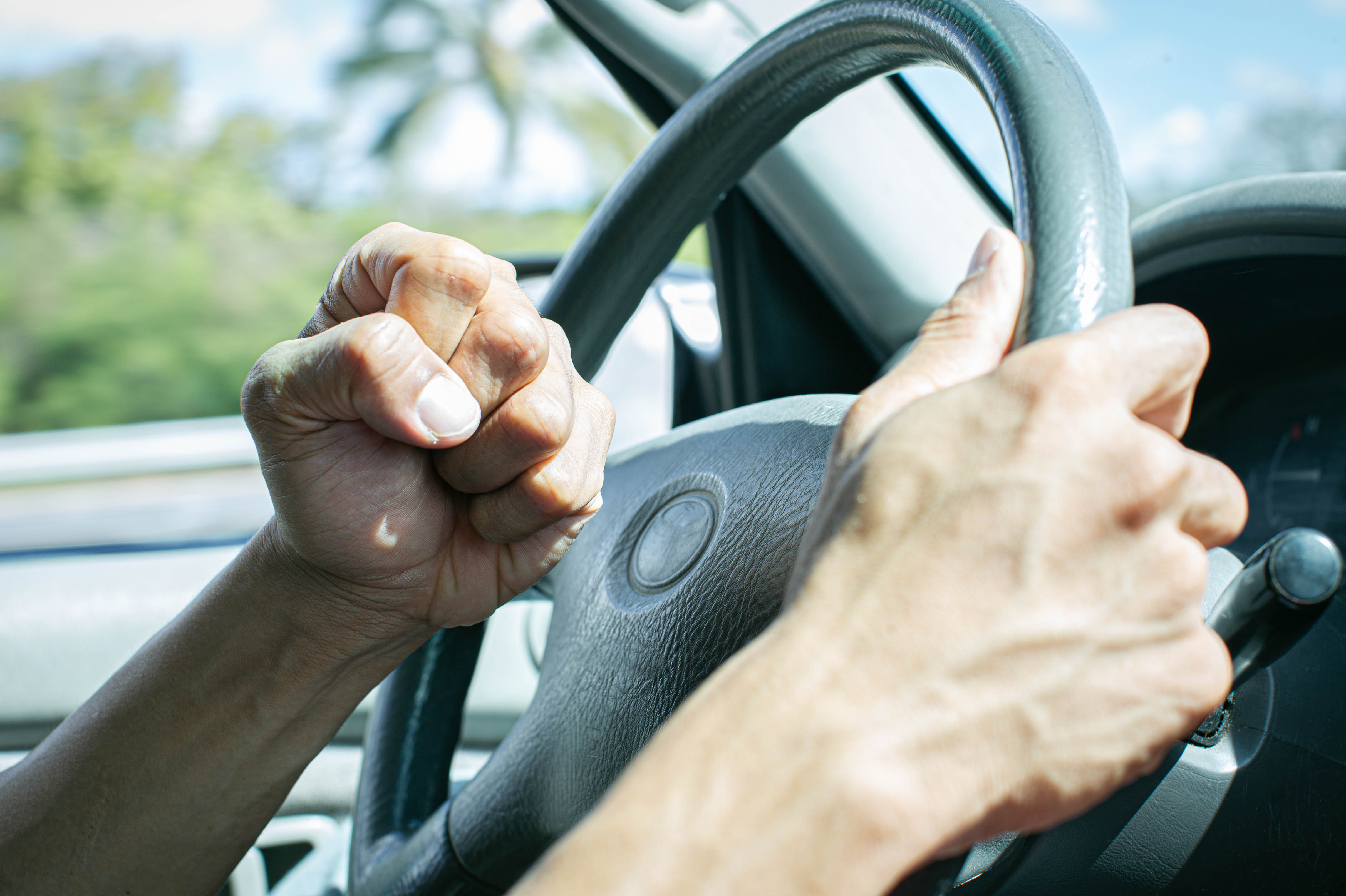 Driving with Emotions: Navigating the Roadway of Feelings